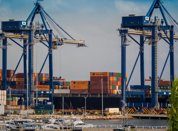 Comment fonctionne le click & collect chez jardiland pour un jardinage simplifié